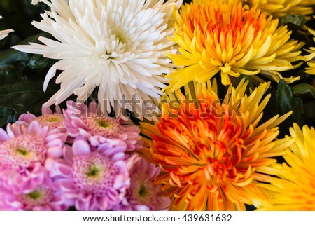 A bouquet of violet, orange and white chrysanthemums