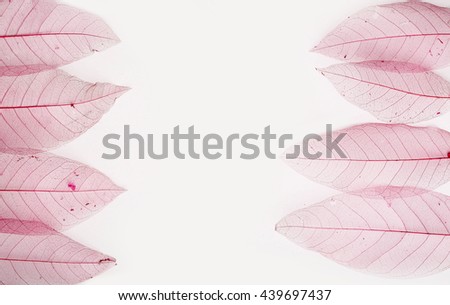 Wedding or romantic template with pink decorative leaves on white background