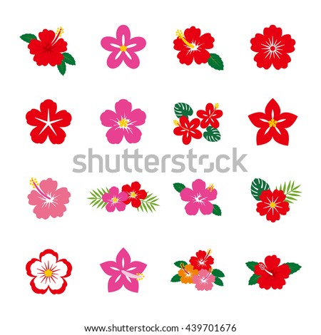 Hibiscus flower icon set