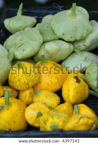 Green and Yellow Gourds at a Farmer's Market