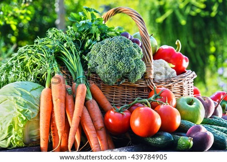 Variety of fresh organic vegetables and fruits in the garden. Balanced diet Royalty-Free Stock Photo #439784905