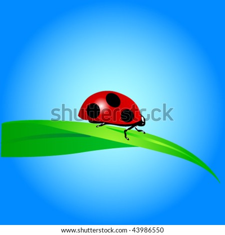 Ladybug and leaf on blue background. Vector Illustration.