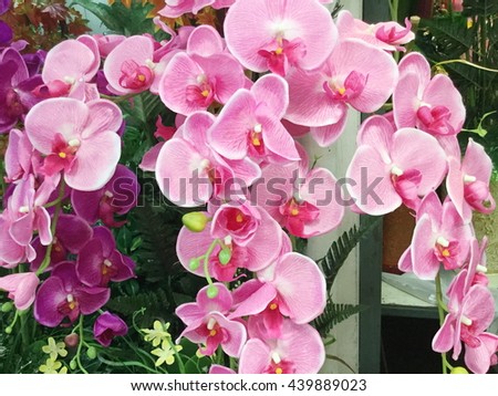 Artificial pink orchids background