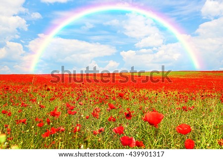 Landscape of poppies field of red flowers, nature landscape and rainbow in Bulgaria
