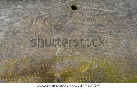texture of colored grunge wood for Background.