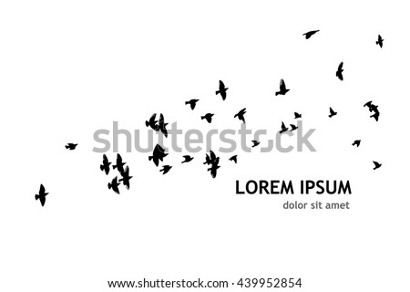 A flock of flying birds. Vector Royalty-Free Stock Photo #439952854