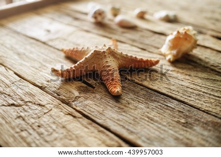 Star fish and sea shells on wooden table background with copy space. Summer concept.