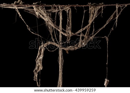 cobweb or spider web isolated on black background in ancient thai house