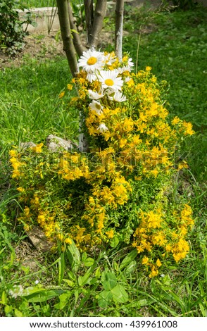 bouquet of st. john's wort, and daisies