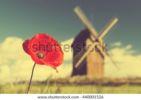 the beautiful poppy and the mill; focused on the poppy; shallow depth of field; vintage filter effect