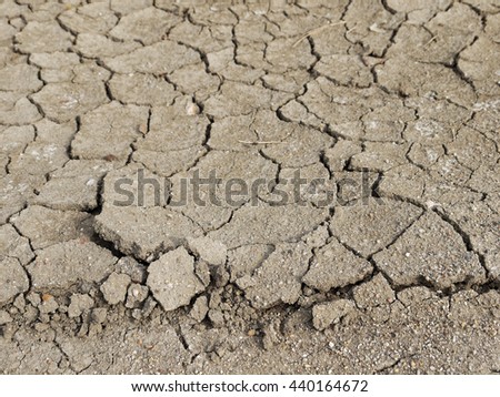 Cracks in the dried soil in arid season as a texture closeup