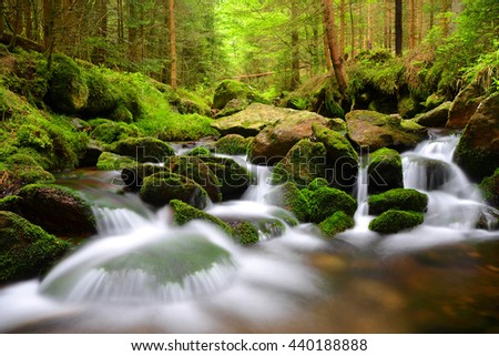 Mountain creek in the National park Sumava-Czech Republic