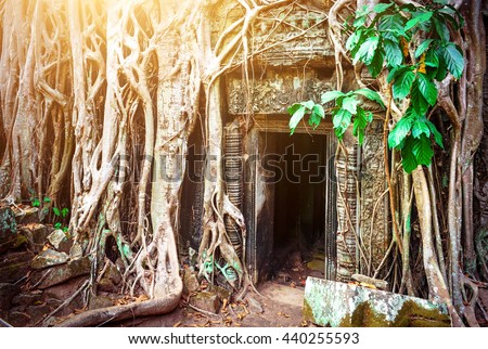 Ta Prohm Temple, Angkor, Cambodia. Ancient archaeology Royalty-Free Stock Photo #440255593
