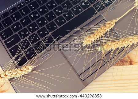 Laptop keyboard and wheat ears on a wooden background. Technology,nature and agriculture. Job and vacation ( holidays, weekend, rest ). Harvest. Conceptual image.  Rustic style.Toned colors  