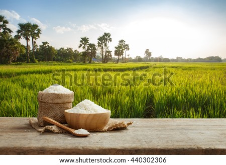 Asian uncooked white rice with the rice field background Royalty-Free Stock Photo #440302306