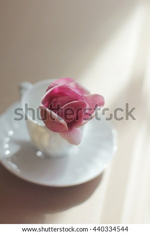 Magnolia in a cup. Flower in a cup.