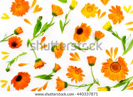 Flat lay composition with flowers calendula on white background. Love concept. Top view.