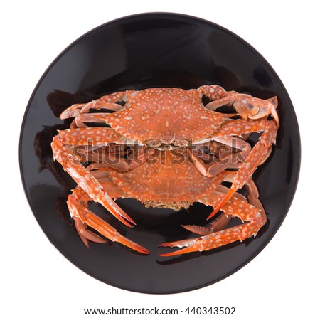 cooked crab prepared on black plate isolated on white background