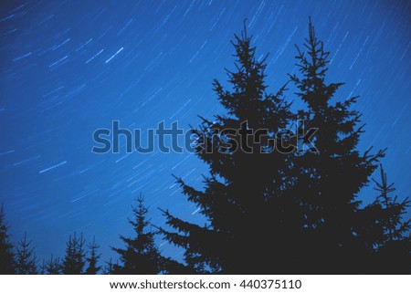 Milky way stars with forest silhouettes. No elements of NASA or other third party.