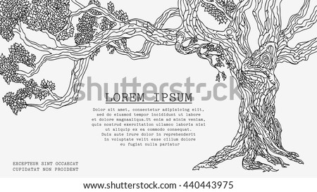 Old Tree. Vector Sketch Isolated on White Background Has a Special Place for an Inscription