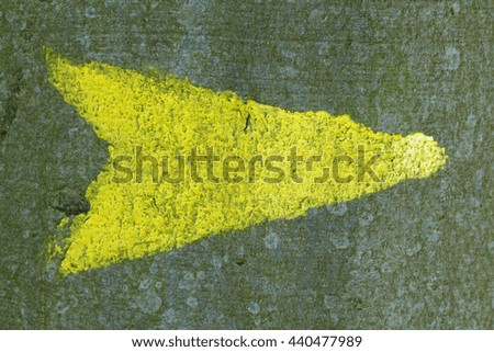 Yellow Arrow  on a Tree Trunk in a Wood,  Germany, Europe