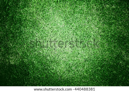 Green Grass background texture