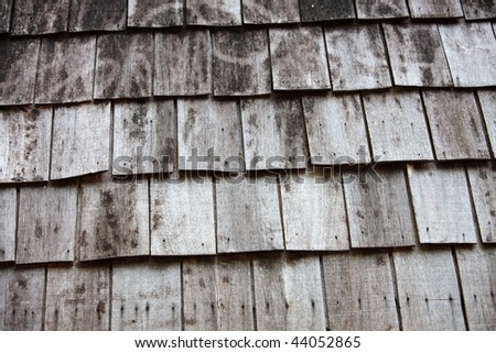  Abstract texture of wooden wall. Background.