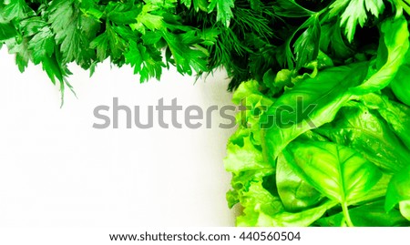 the basil, fennel, parsley, leaves of a green salad, lie on a white cloth, fresh and beautiful,  a white rag background