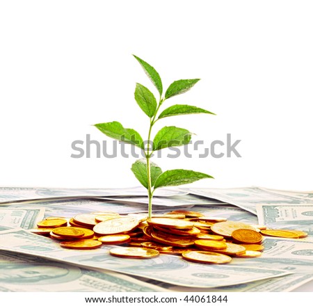 Coins, dollars and plant isolated on white background