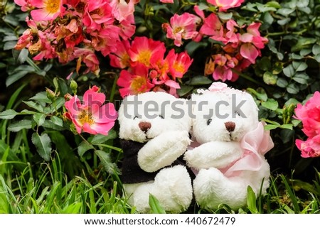 Couple of teddy bear in beautiful garden of rose, couple of teddy bear with nature background 