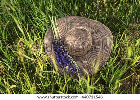 beautiful hat with lupine on grass