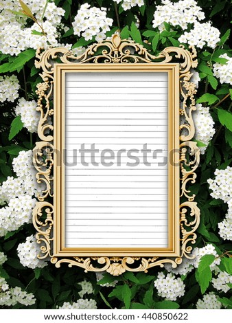 Close-up of one blank golden Baroque picture frame with striped paper sheet frame on white blooms background