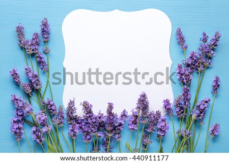  Lavender flowers around blank paper
