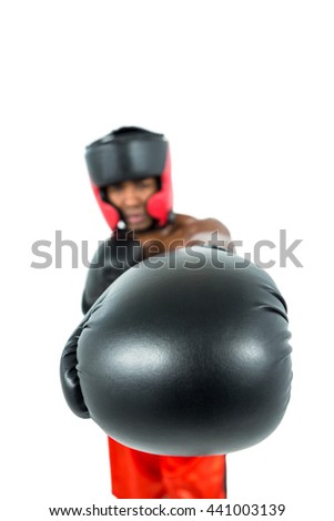 Boxer performing upright stance on white background