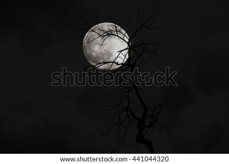 Tree silhouette with moon