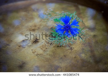  cornflowers in a copper basin of water on the background of a wooden surface