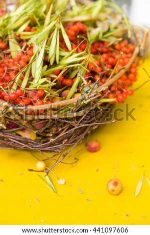Nice ripe bunches of rowan berries in a wicker basket on yellow background. Still rowan berries in the basket. red mountain ash in a wicker basket. Autumn concept. 