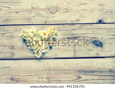 Chamomile flowers on a wooden background/toned photo