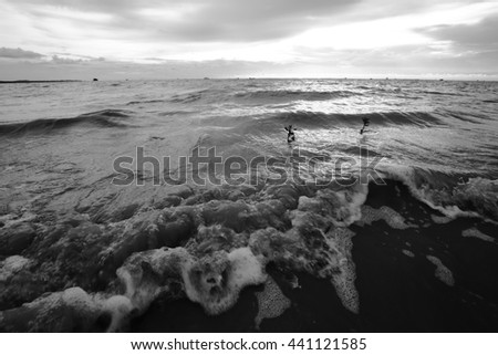 Black and white picture, Sea waves at dusk.