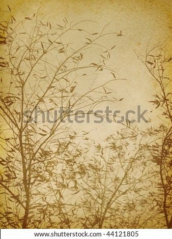 Vintage Imprint of Branches