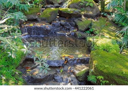 Artificial waterfall in botanic garden
