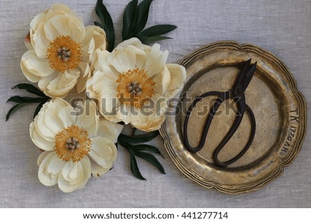 Composition with beautiful beige peonies, very old brass plate,vintage scissors on natural grey linen background. Floral scene