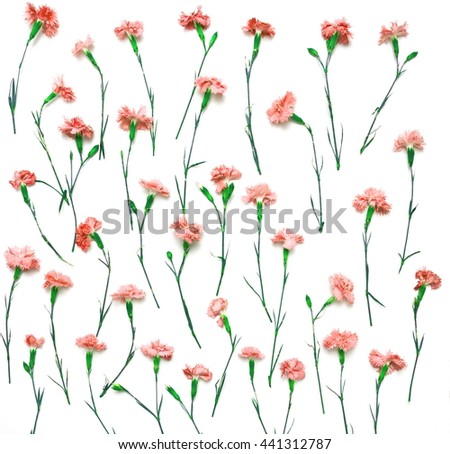 floral wallpaper pattern. carnation flowers. isolated on white background. flat layout, top view