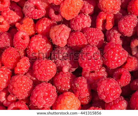Fresh raspberries beautiful background closeup photo