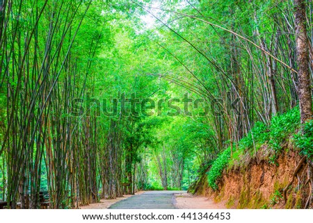 Walkway in Ob Luang national park, Thailand.