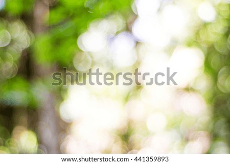 Blurred green leaves on the green backgrounds, Natural image