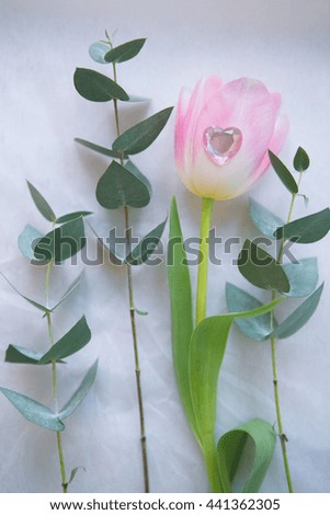 The composition of delicate flowers. Beautiful pink flowers and composition of the plant pleasing to the eye