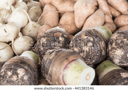 Closeup sweet potato, taro and jiÂ­cama