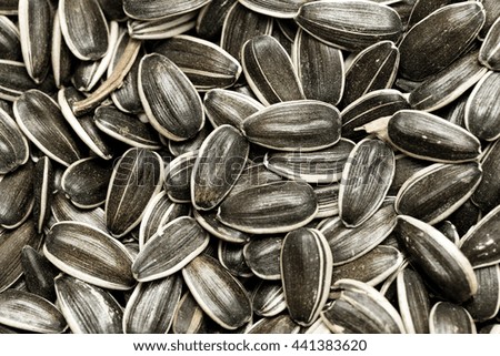 sunflower seeds gray background