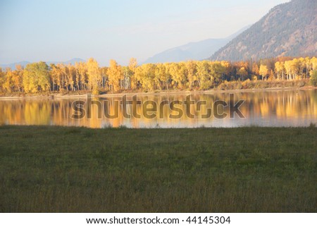 Autumn, golden trees along river,  British Columbia, Canada